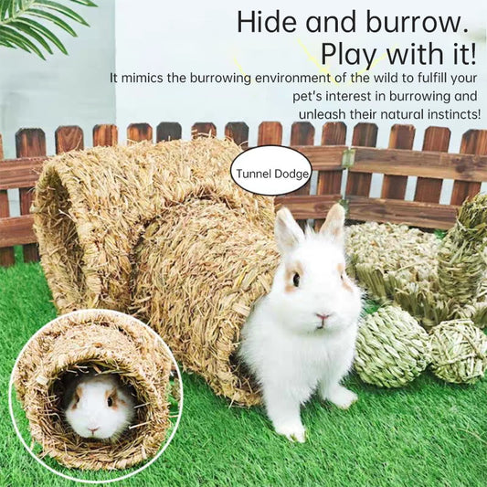 Small Pet Tunnel