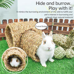 Small Pet Tunnel