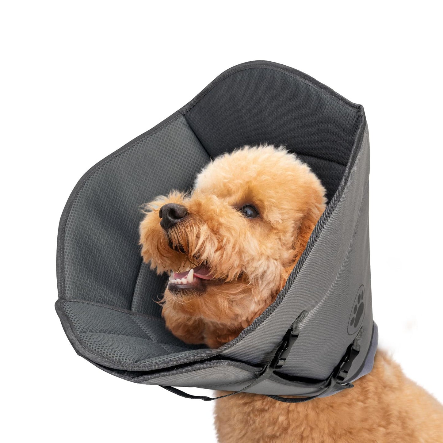 Pet Elizabethan Collar Single Layer M