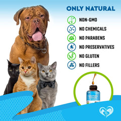 Kennel Cough Treatment Natural Infection Medicine For Dogs And Cats Respiratory Colds Cough Relief Collapsed Trachea And Cat Asthma Support